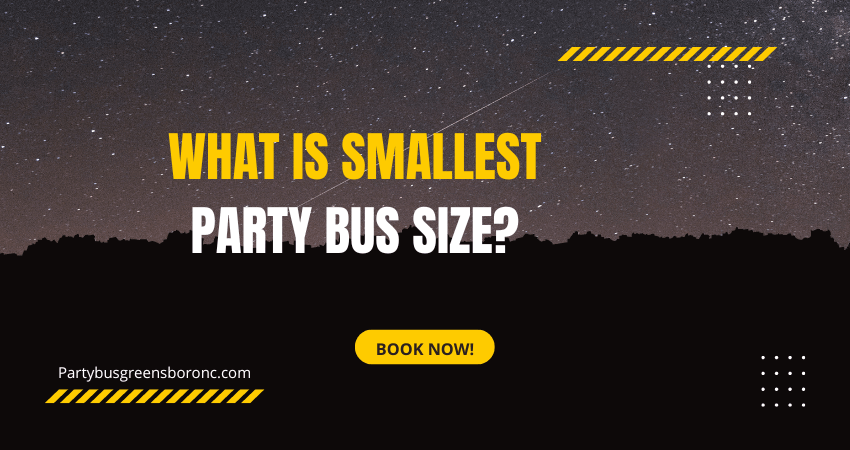small party bus size
